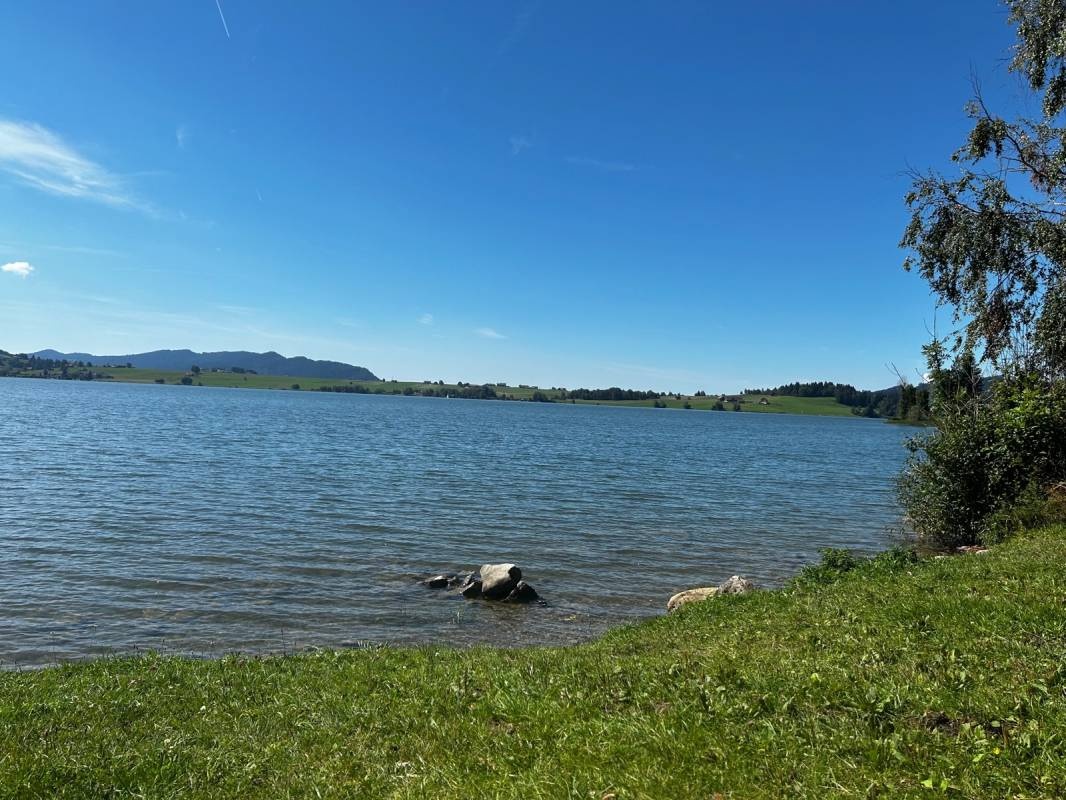 Grüene Aff — Kemping in Willerzell