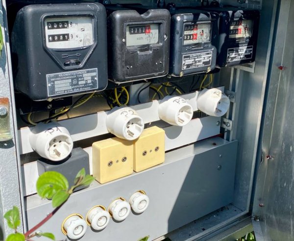 Grüene Aff — Photo 2