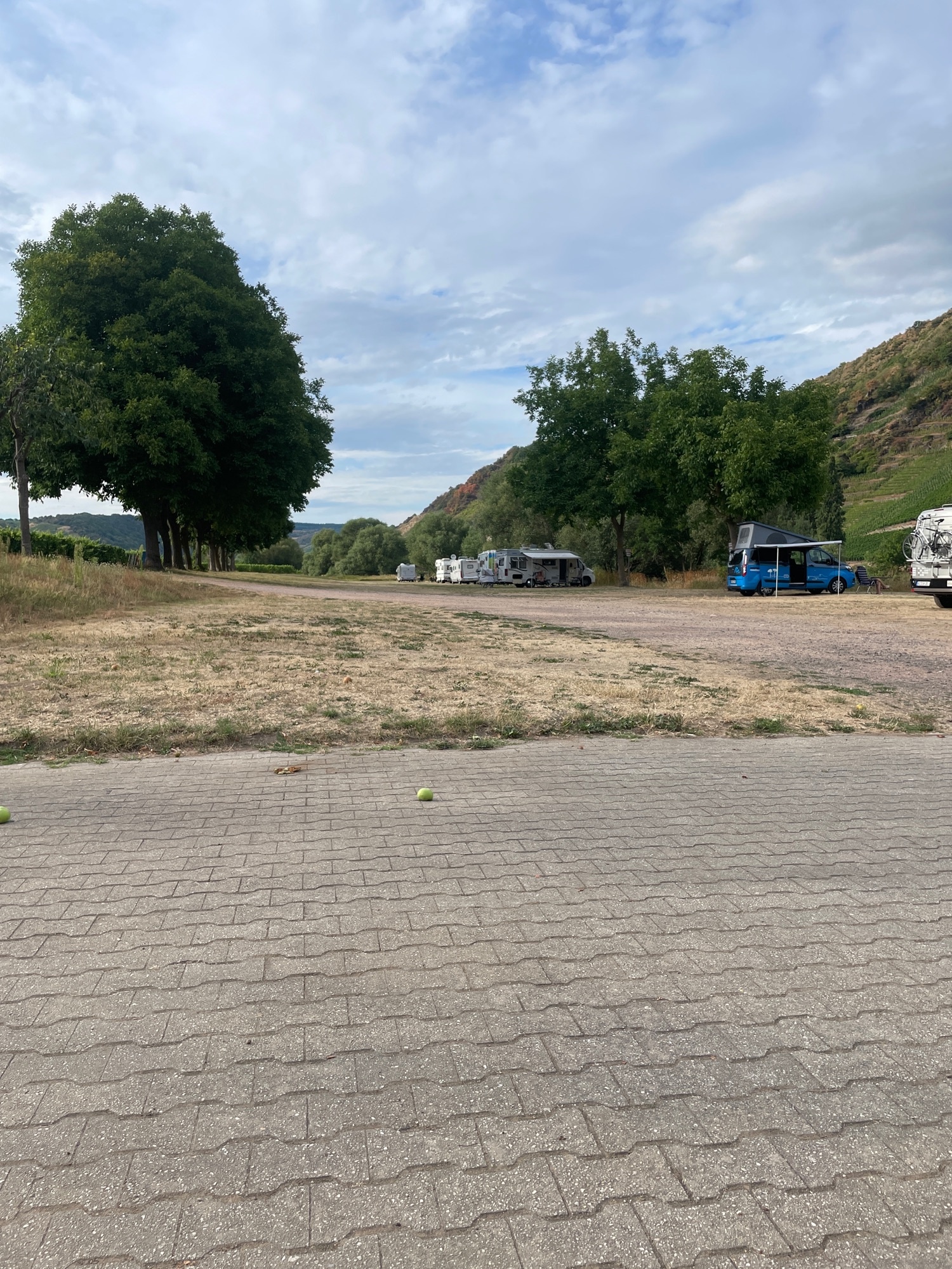 Stellplatz Trittenheim — Area di sosta in Trittenheim