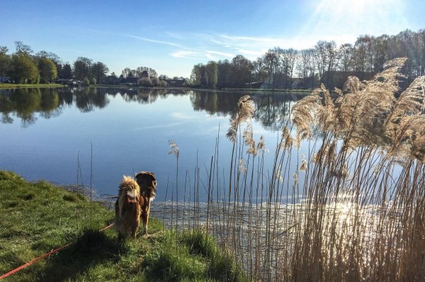 Stellplatz am Ahlumer See — Foto 2