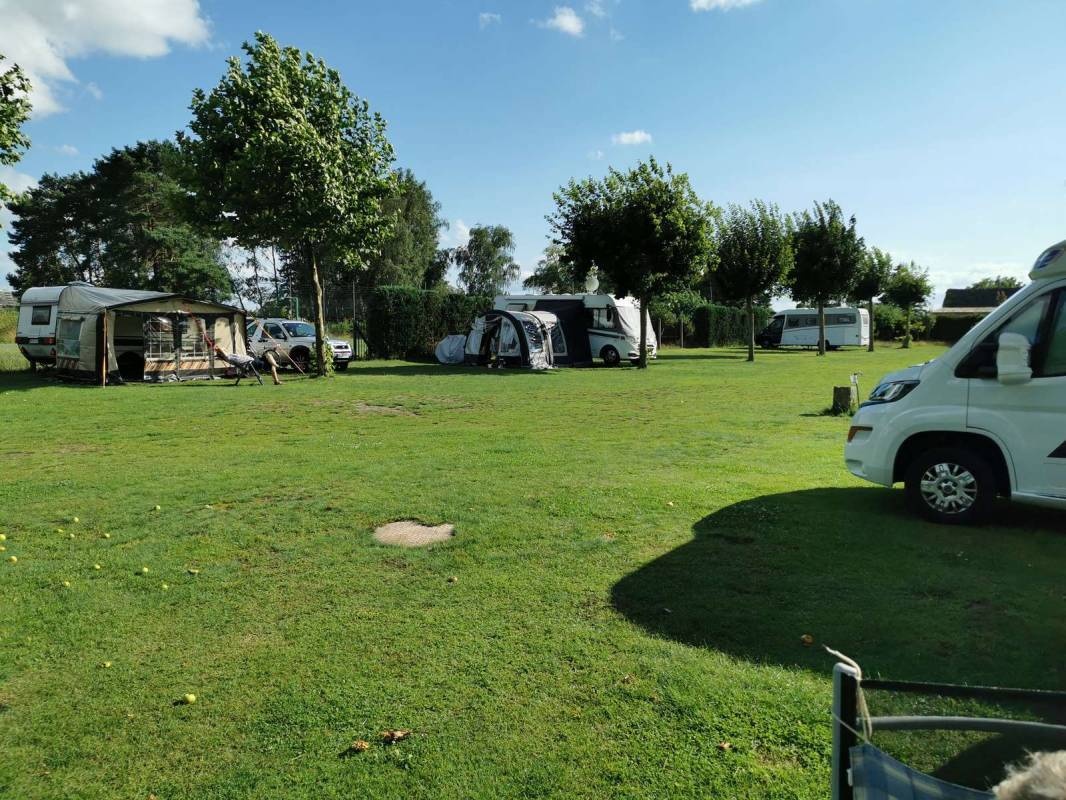 Campingplatz Im grünen Elsebusch Arendsee — Місце для кемпінгу in Arendsee (Altmark)