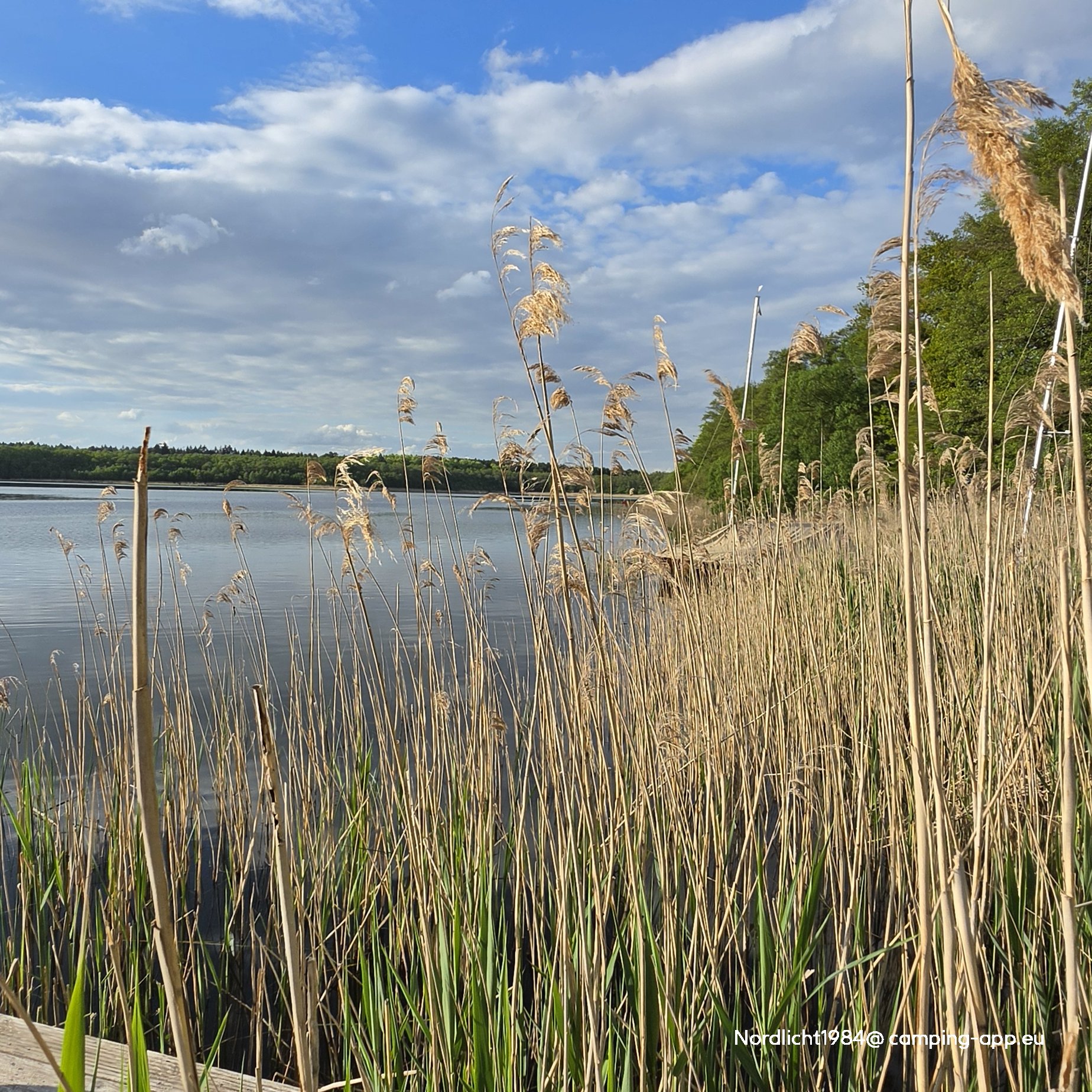 FKK (naturist) Camping am Rätzsee — Foto 2