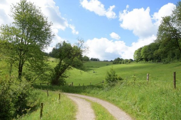 Camping Schafbachmuhle — Photo 2