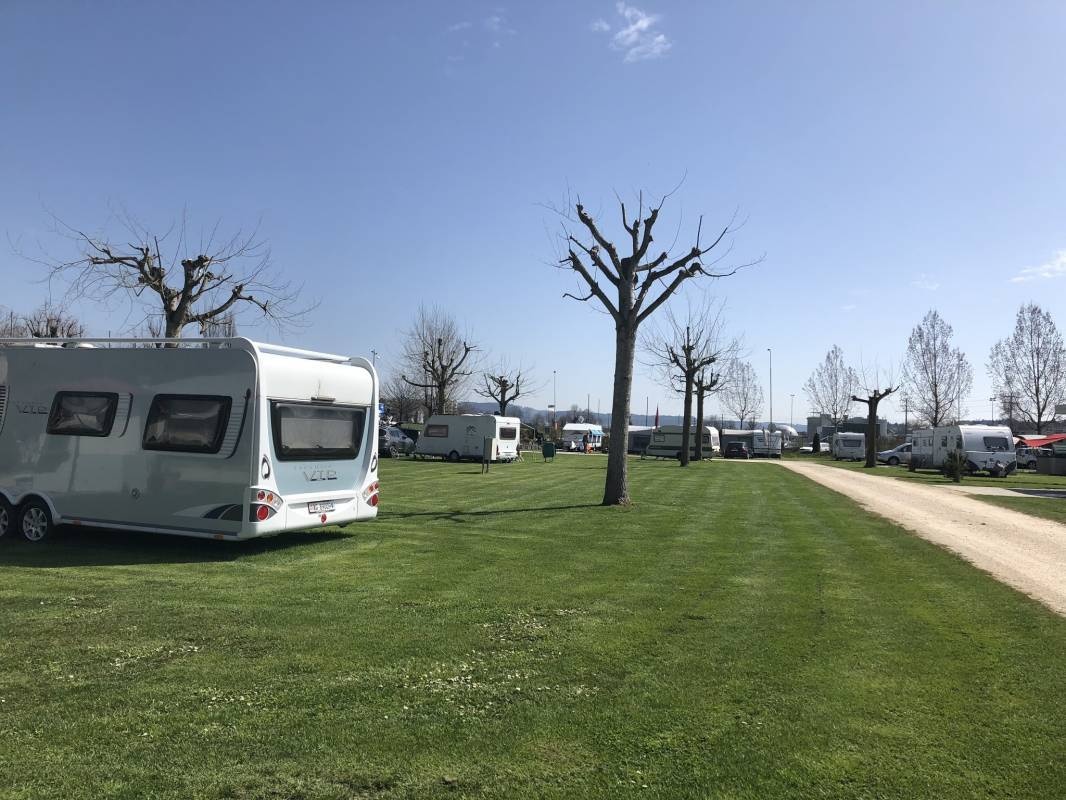 Campingplatz Wiggerspitz — Sítio de acampamento in Aarburg