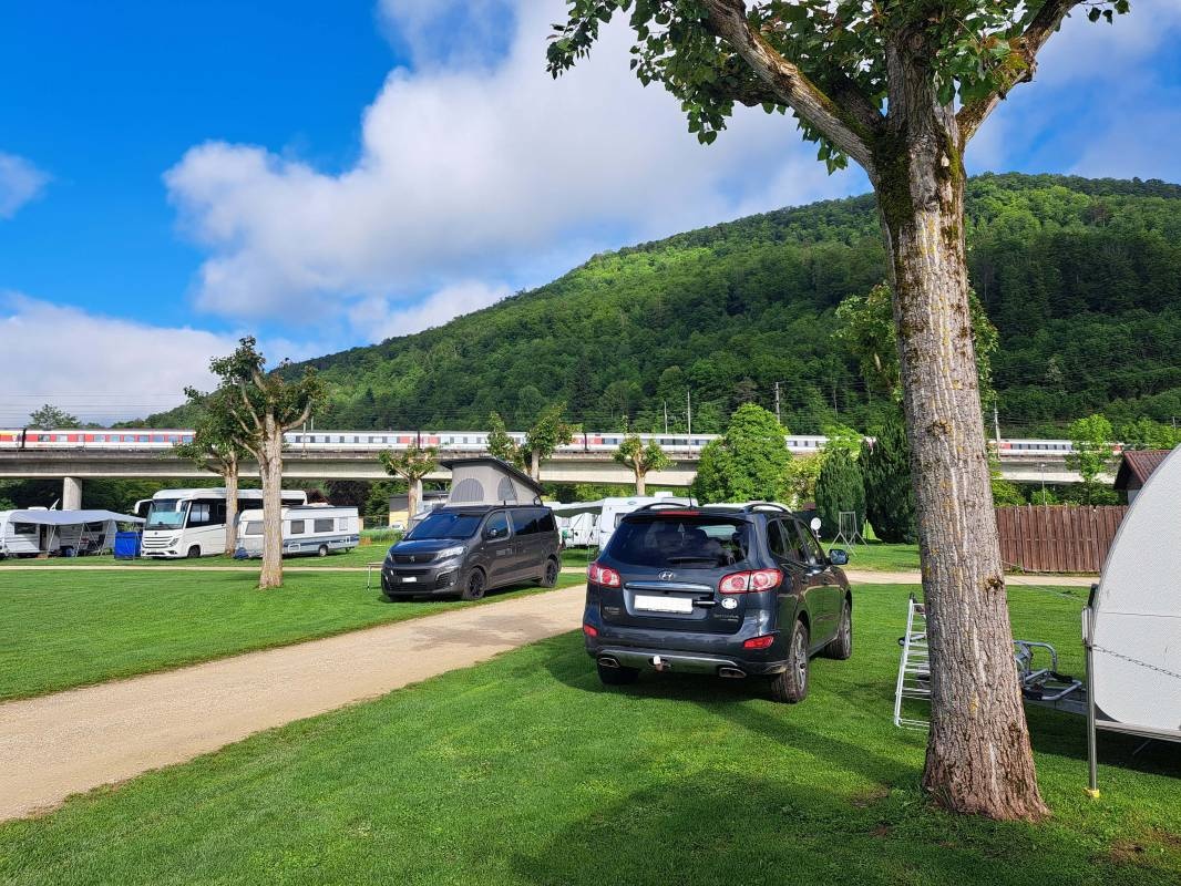 Campingplatz Wiggerspitz — Campingplats in Aarburg