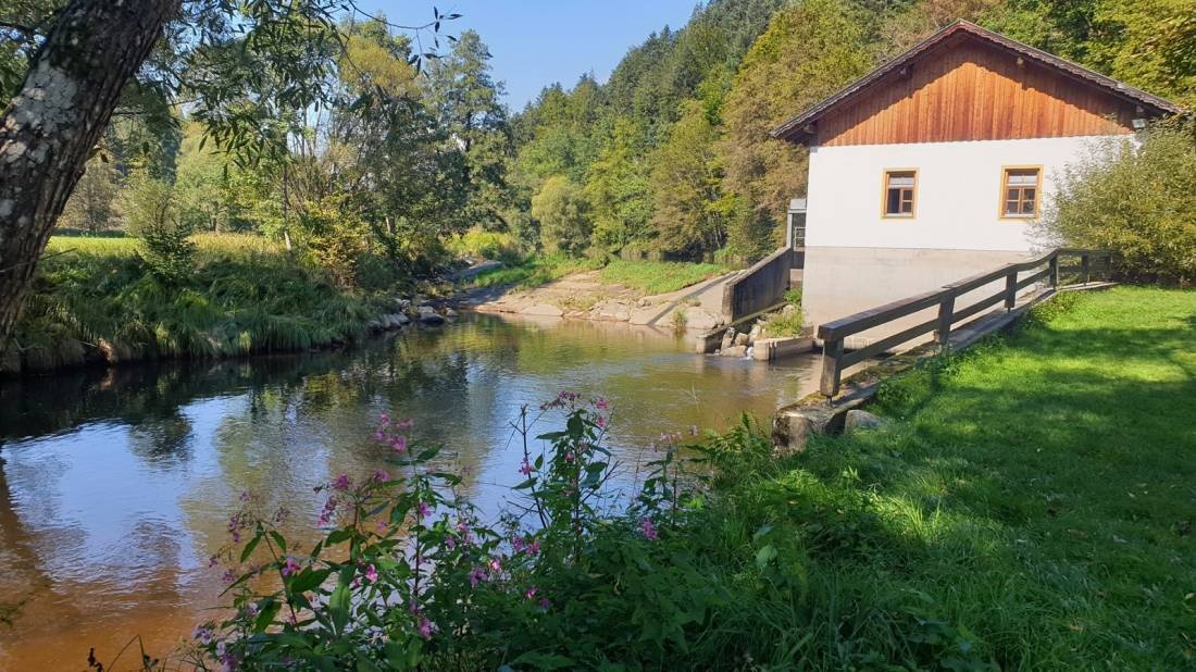 Camping & Gasthaus Schrottenbaummühle — Campingplatz in Fürsteneck