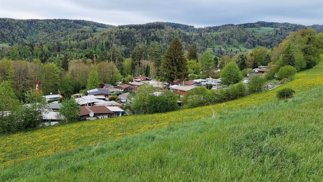 Camping Wildberg — Kemp in Wildberg