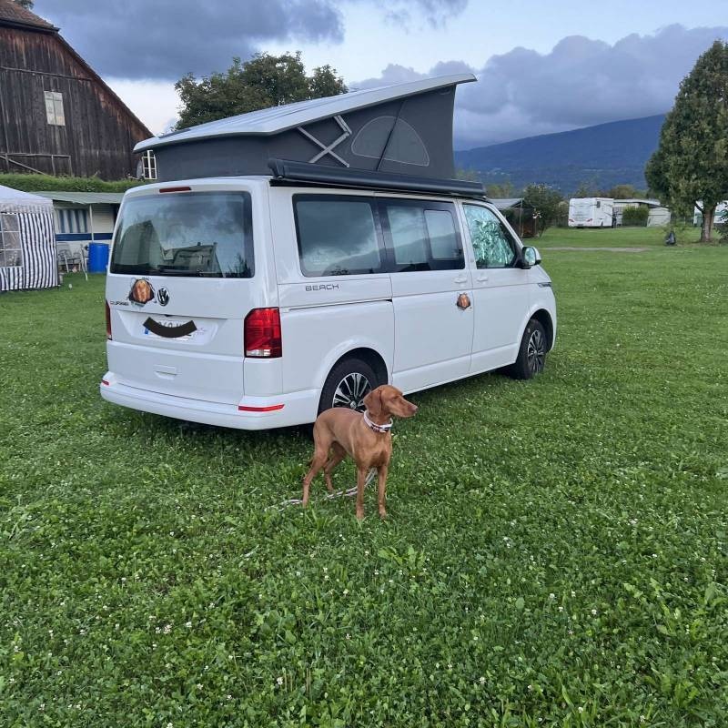 Strausak Camping — Kemp in Grenchen