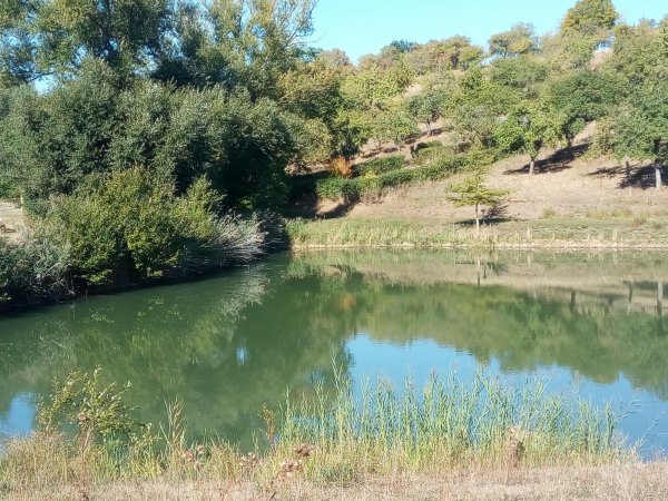 Stellplatz Freibad Burgbernheim — Photo 3