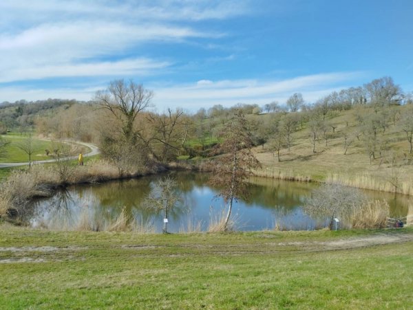 Stellplatz Freibad Burgbernheim — Photo 5