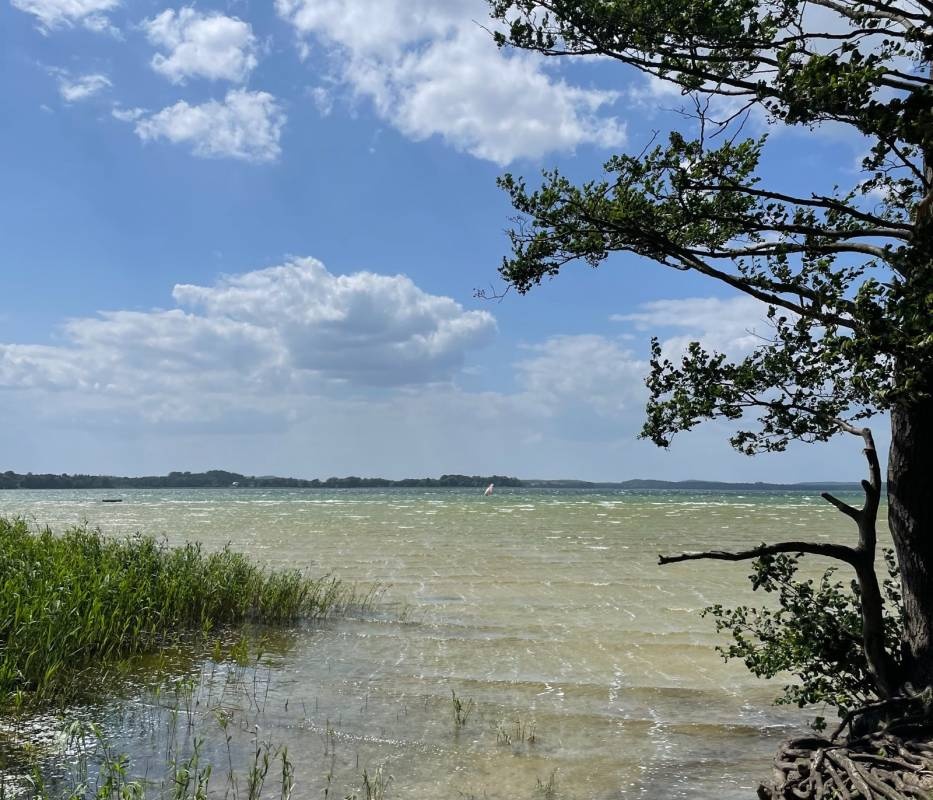 Naturcampingplatz am Parsteinsee — Campingplads in Parsteinsee