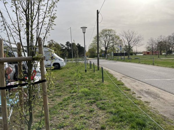 Stellplatz am Campingplatz Bergwitz — Photo 3