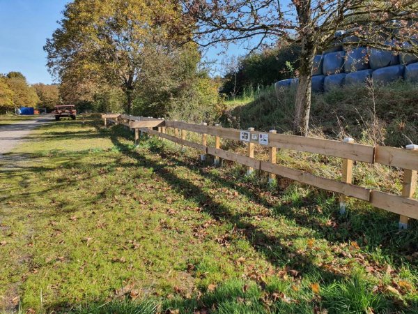 Camping Walsheim ****