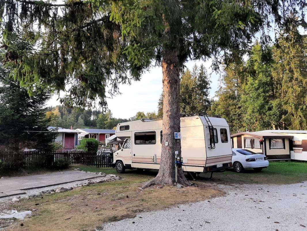 Camping Les Sapins — Campingplads in Bulle