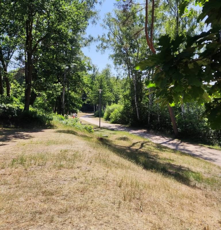 Natur-Campingplatz Salemer See — Kamp yeri in Salem