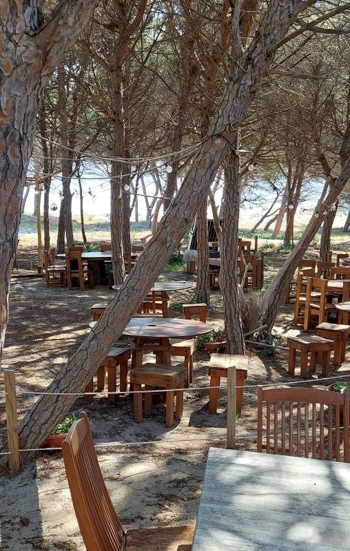 Camping Monte Generoso — Sítio de acampamento in Melano