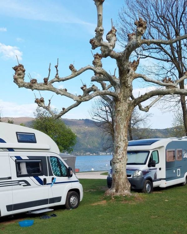 Camping Monte Generoso — Photo 4