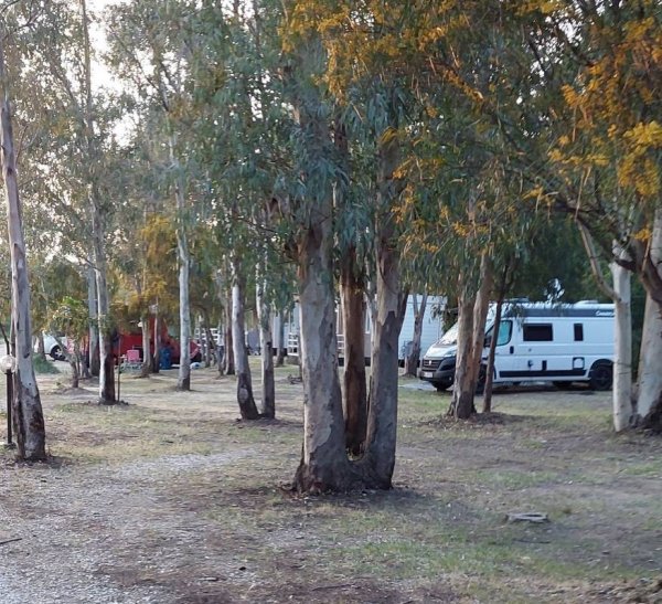 Camping Monte Generoso — Photo 2