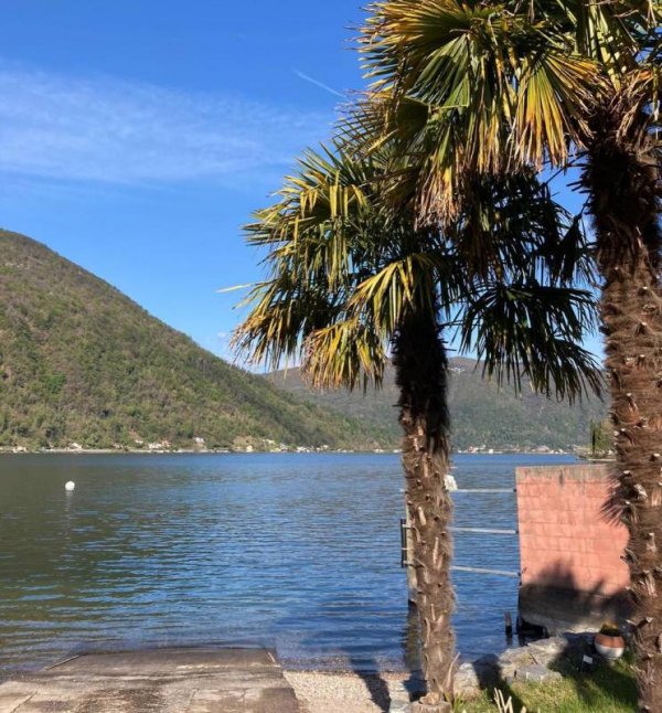 Camping Monte Generoso — Photo 3