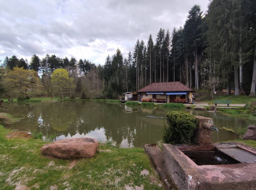 Stellplatz am Harzhütten-Weiher — Campervan Site in Freudenstadt
