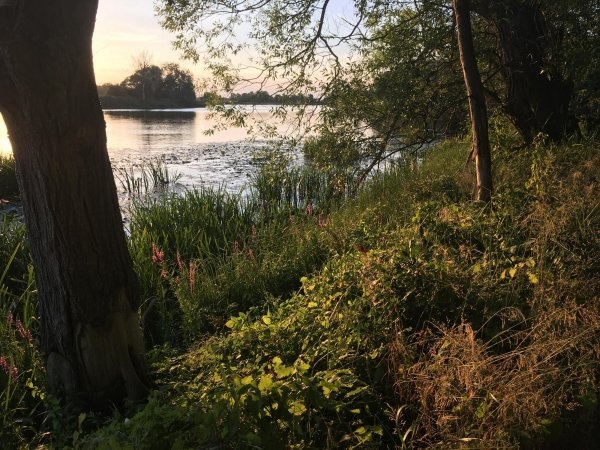 Campinginsel Havelberg — Kemping in Havelberg