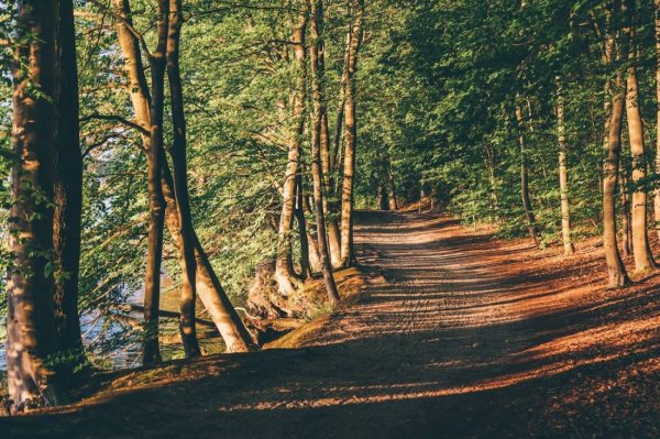 JATOUR Camping Werbellinsee — Photo 3