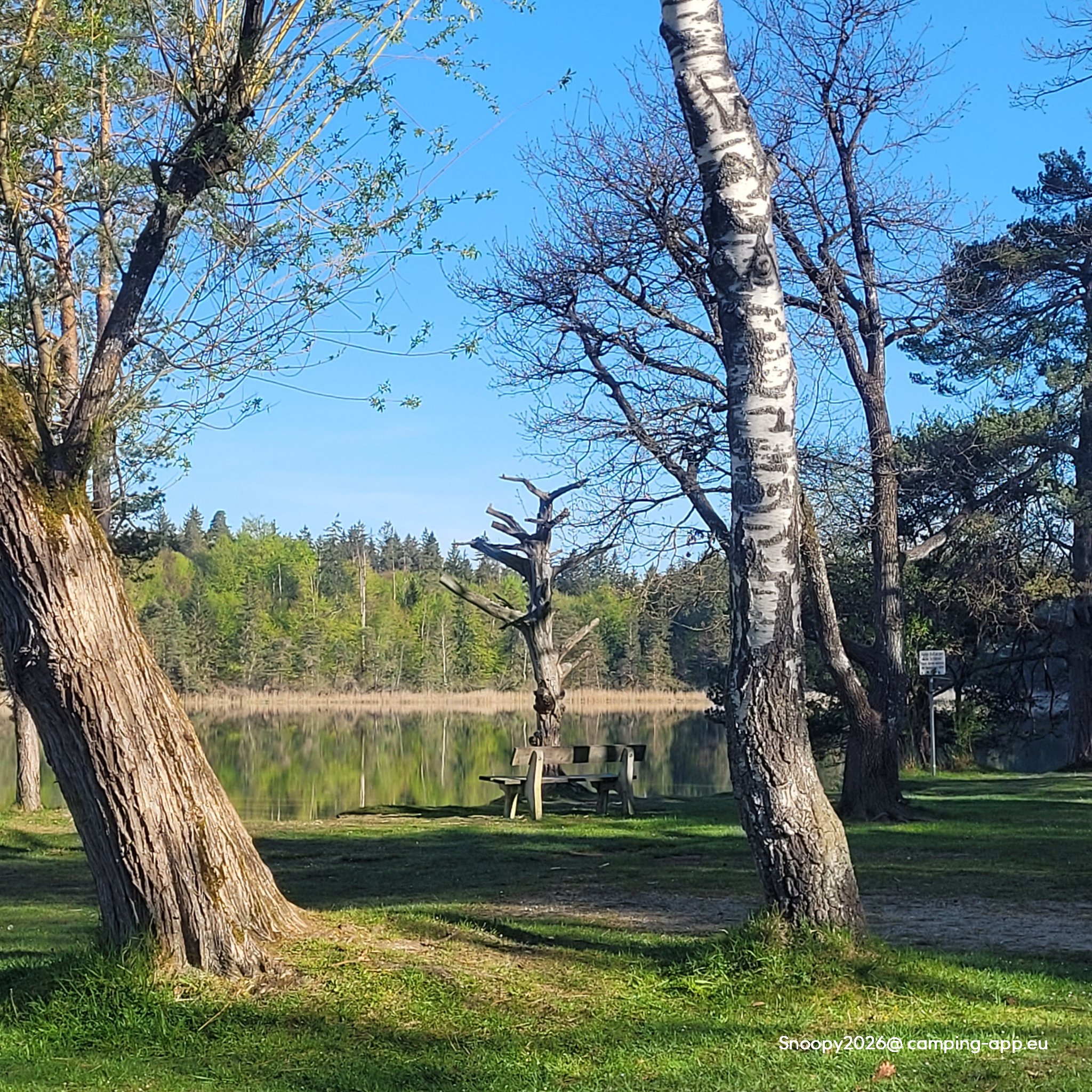 Campingplatz Fohnsee — Campingplads in Iffeldorf