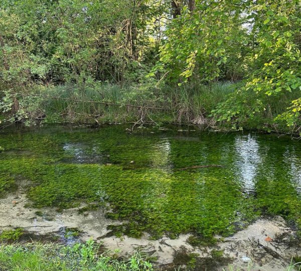 Stellplatz Laignes — Photo 3