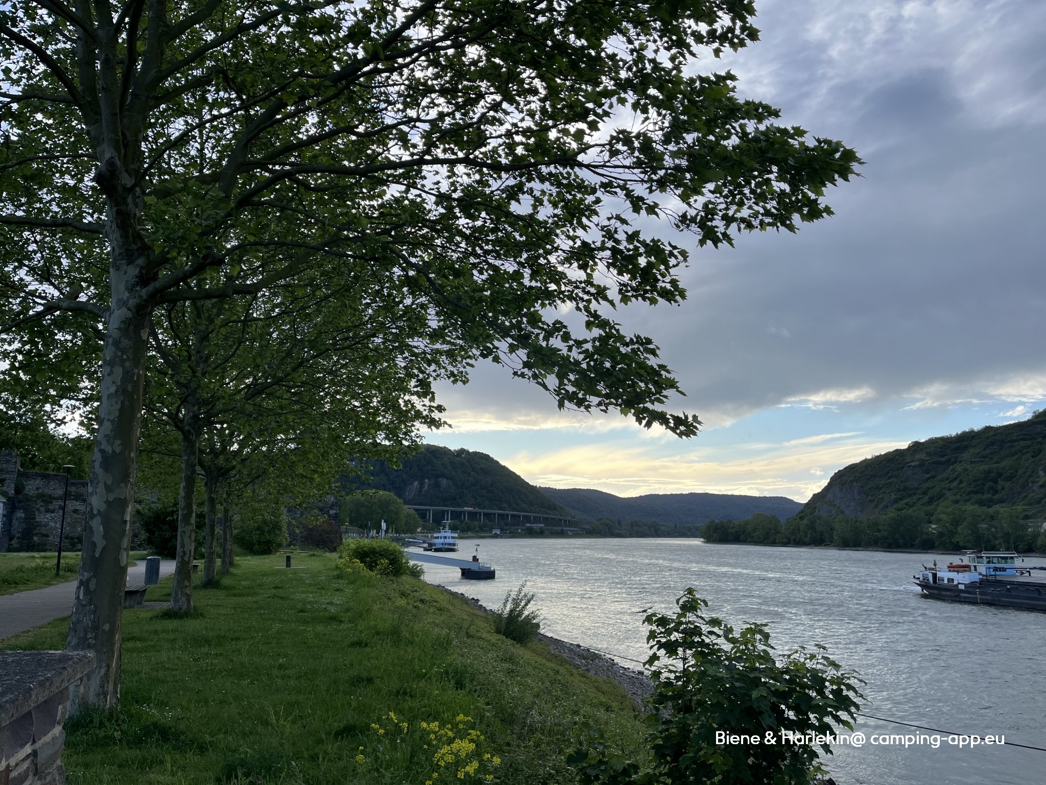 Stellplatz Andernach — Photo 4