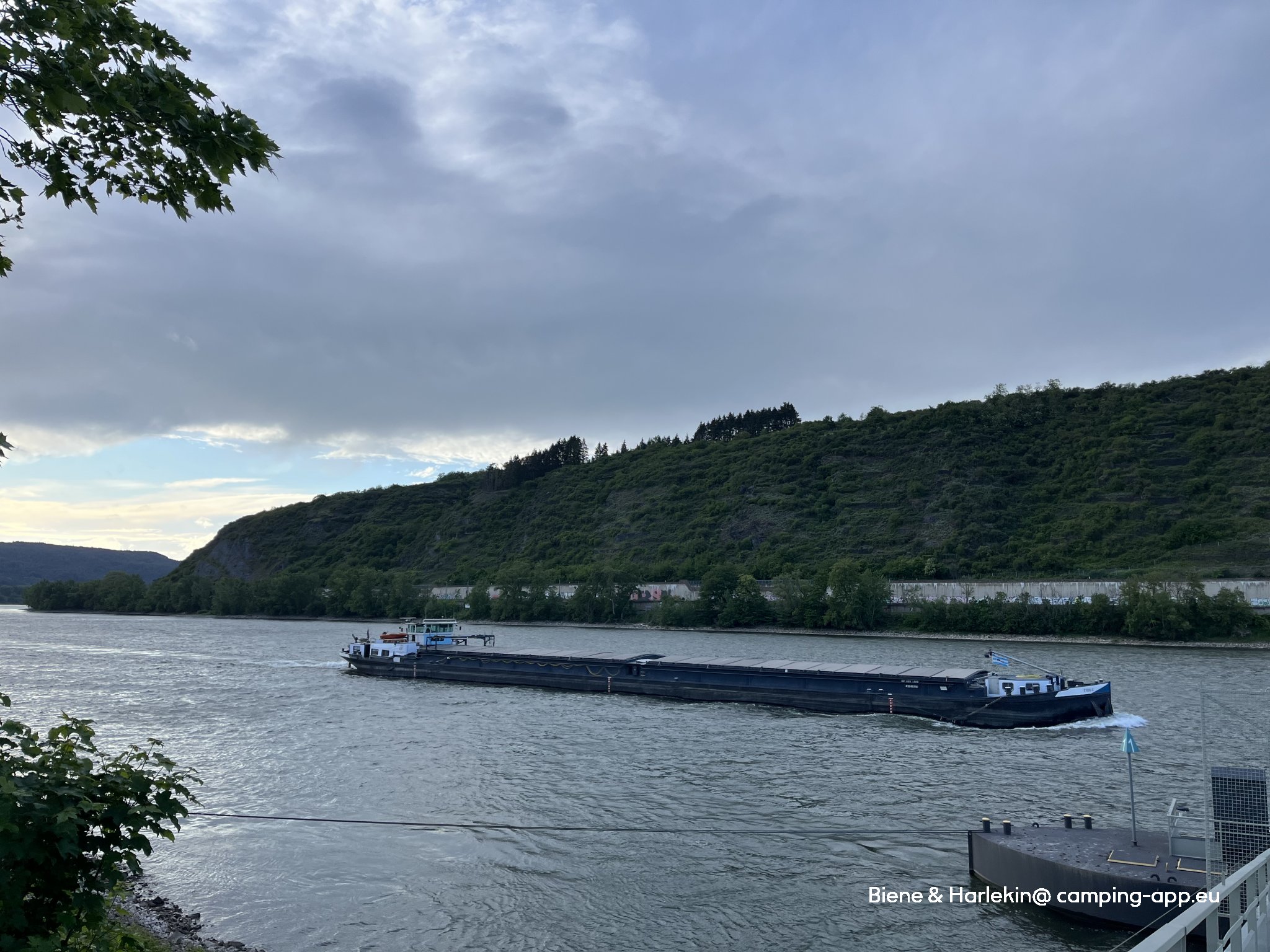 Stellplatz Andernach — Photo 5