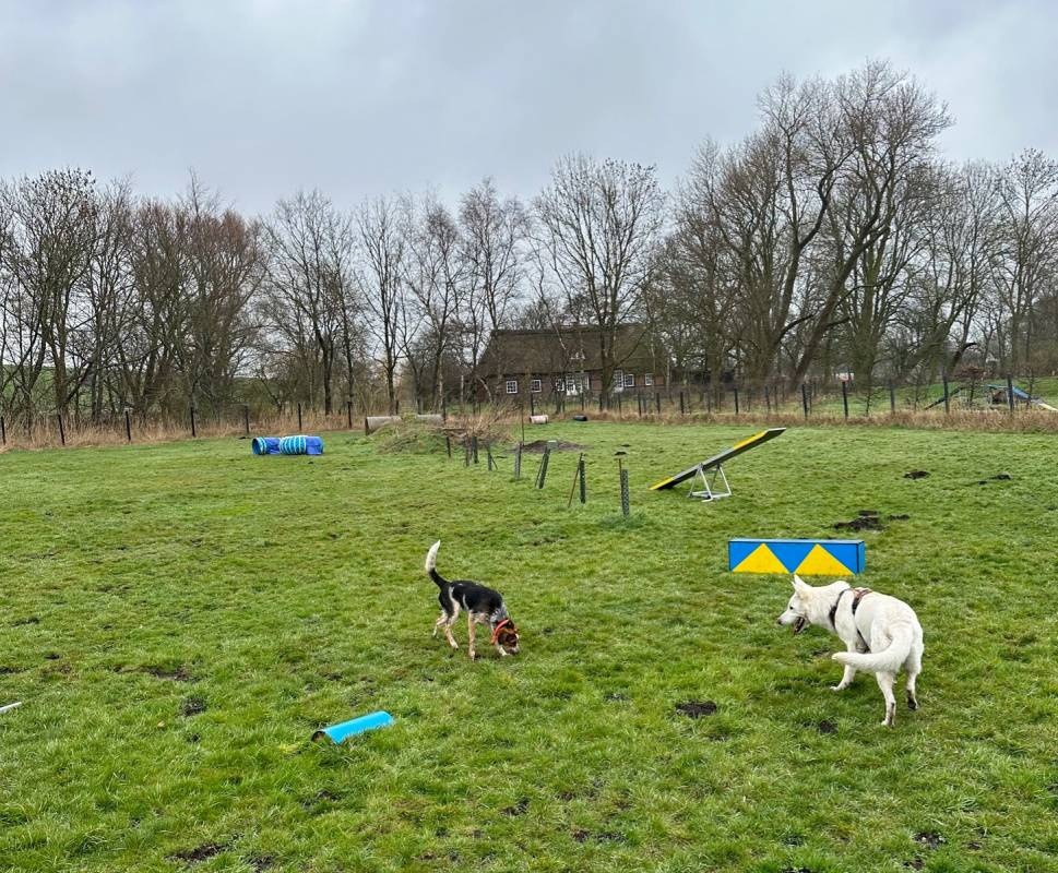 Hoepkens Hof und Campingplatz — Campingplass in Jade