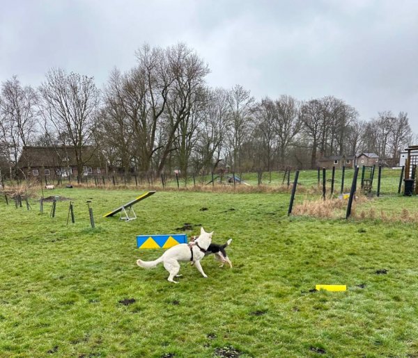 Hoepkens Hof und Campingplatz — Photo 2