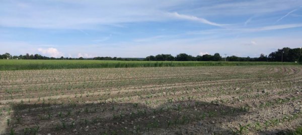 Wohnmobilstellplatz Winhöring