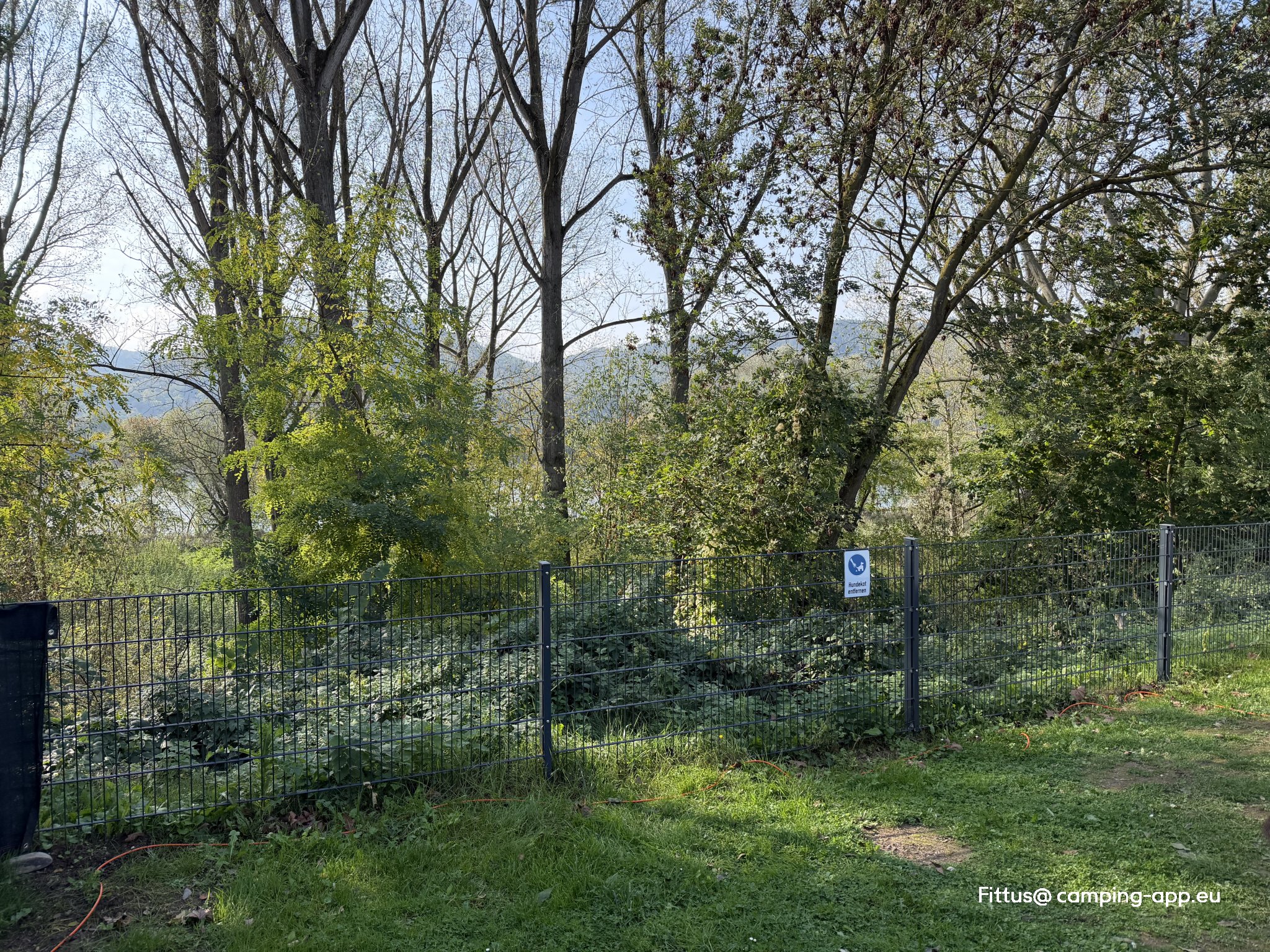 Campingplatz Leutesdorf — Fotoğraf 4