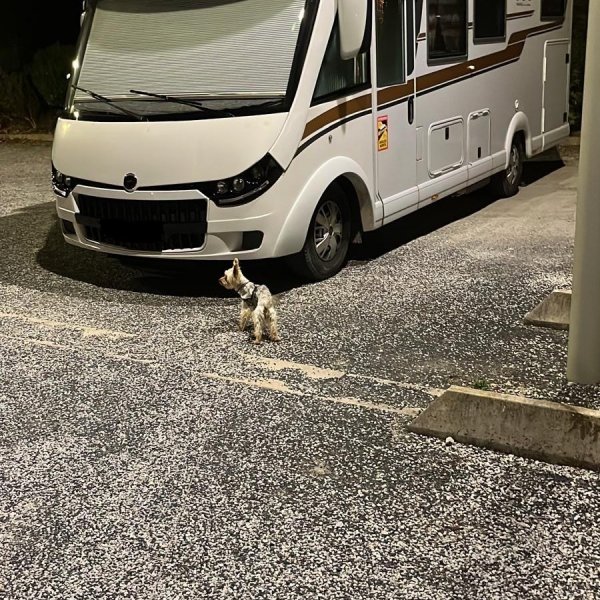 Stellplatz Félines-Termenès