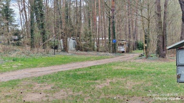 Camping im Schlaubetal Großer Treppelsee — Photo 5