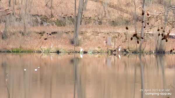 Camping im Schlaubetal Großer Treppelsee — Photo 5
