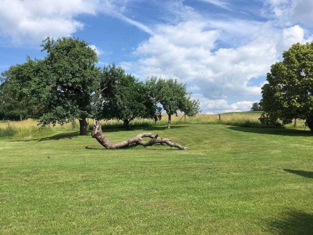 Wohnmobilstellplatz Franzosenhof — Sp. parking dla kamperów in Wullowitz
