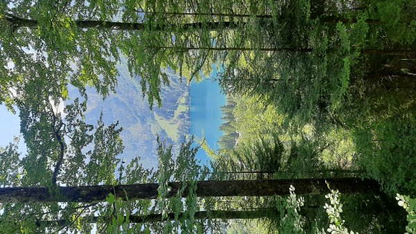 Camping Güntlenau — Photo 4