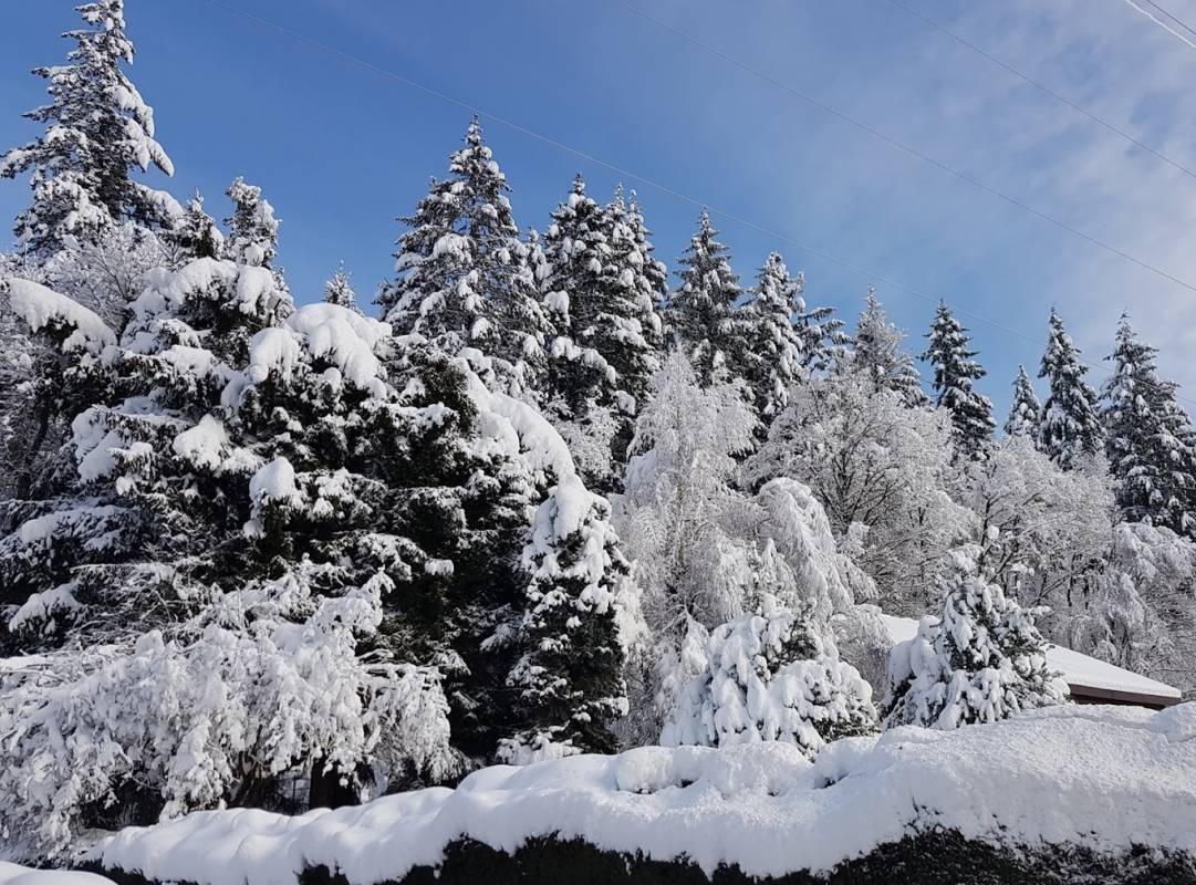Schlüchttal Naturcamping — Camping in Waldshut-Tiengen