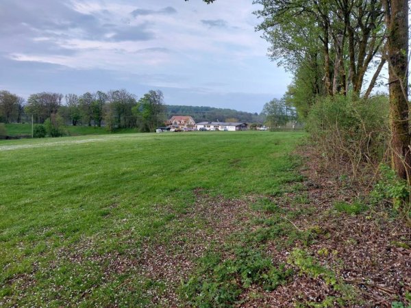 Campingpark Haus am See — Photo 2