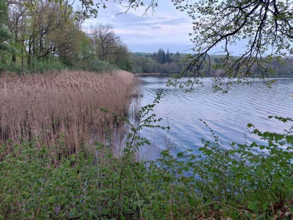 Campingpark Haus am See — Photo 4