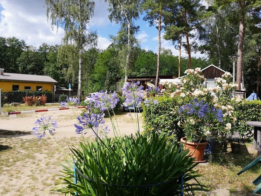 Campingplatz Neue Scheune — Kamp yeri in Schwielowsee