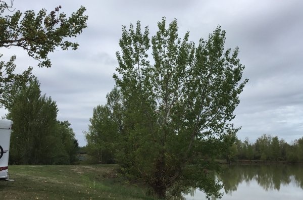 Stellplatz La Magdelaine-sur-Tarn — Campervan Site in La Magdelaine-sur-Tarn