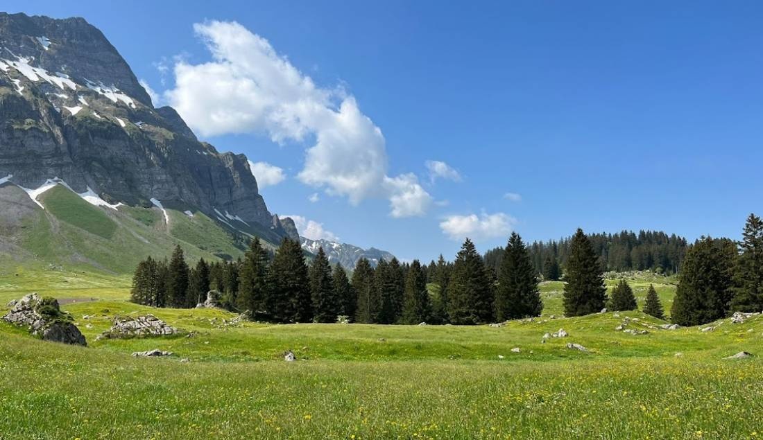 St.Gallen Abtwil — Aire camping car in Gaiserwald