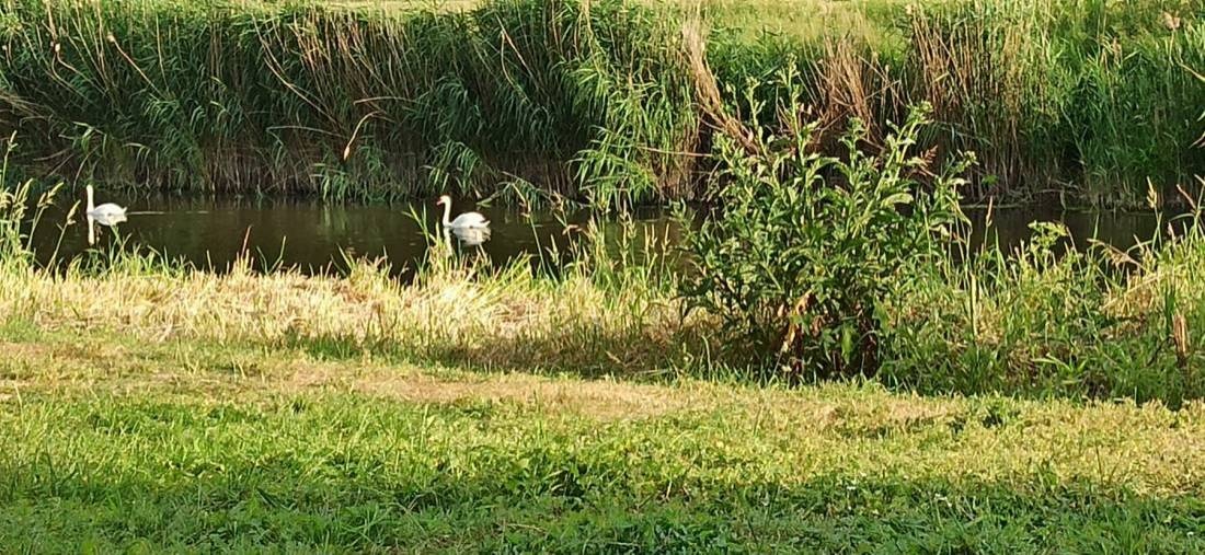 An der Werra in Heldra — Karavan Sitesi in Wanfried