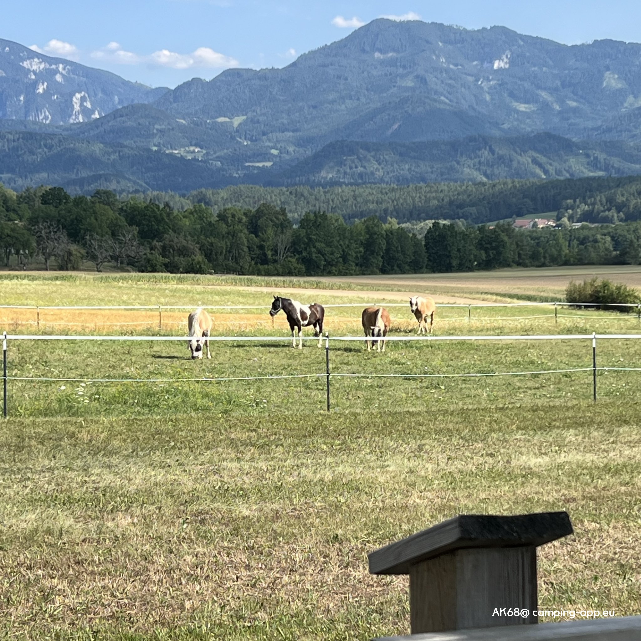 Camping Ilsenhof Thurnersee — Foto 3