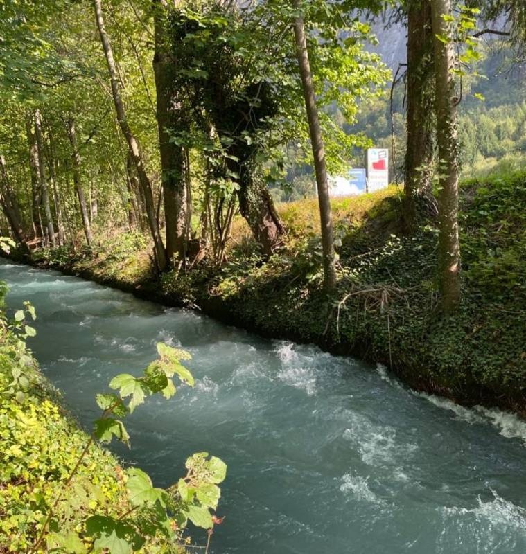Waldcamping Landquart — Camping in Landquart