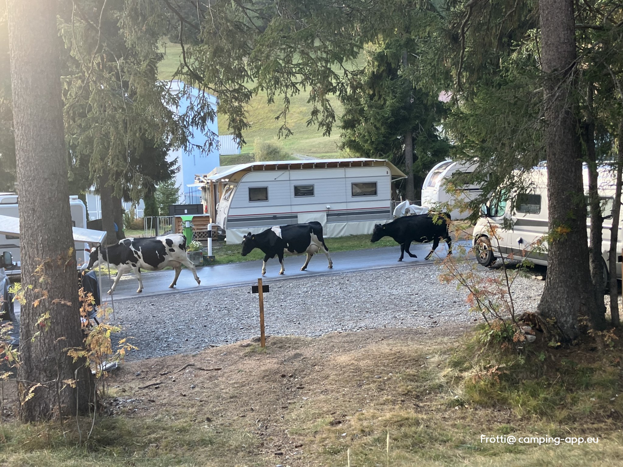 Camping Gravas — Zdjęcie 2