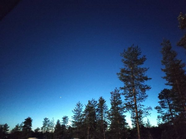 BestPark Rovaniemi Arctic Circle — Photo 5